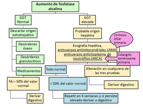 fosfatasa alcalina MIS CHULETAS MÉDICAS