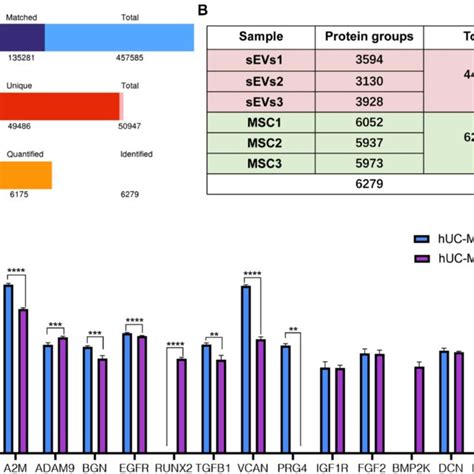 The Lc Msms Was Used For Proteomic Analysis Of Huc Mscs And Download Scientific Diagram