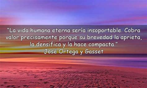 Total 56 Imagen Jose Ortega Y Gasset Frases Abzlocalmx