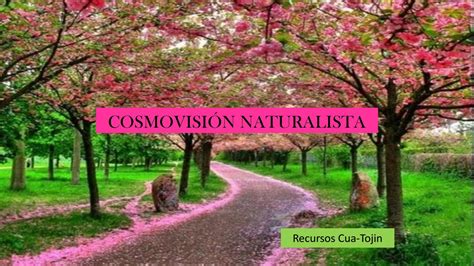 Cosmovision Naturalista By Wendy Tojin Issuu