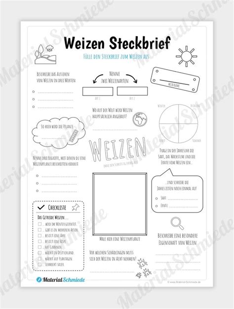 Steckbrief Weizen Steckbrief Lehrer Tipps Arbeitsblätter