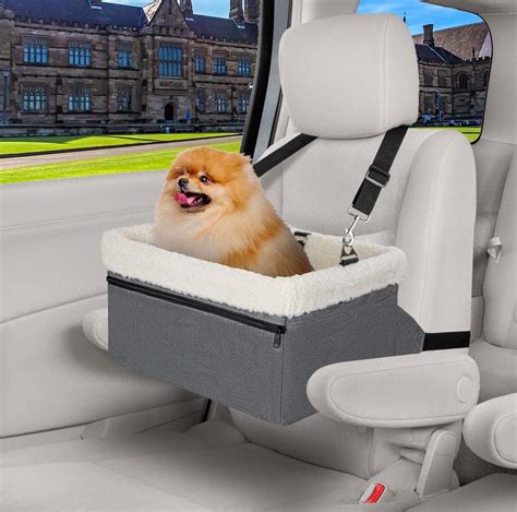 Unicitii Si Ges De Voiture Pour Petits Chiens Si Ge Rehausseur