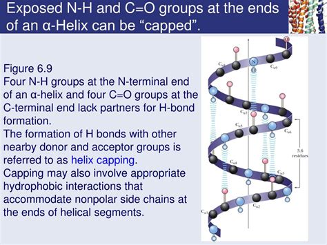 Ppt Chapter 6 Proteins Secondary Tertiary And Quaternary Structure Powerpoint Presentation