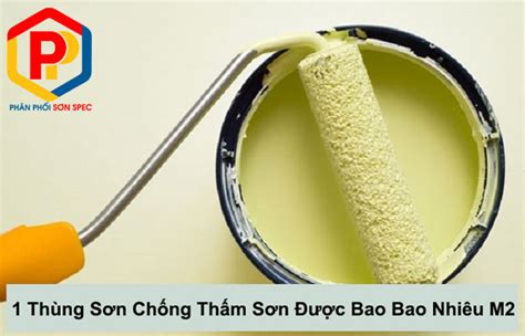 Tra Cứu 1 Thùng Sơn Chống Thấm Sơn Nhiêu M2 Chính Xác Nhất