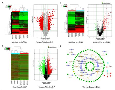 Dysregulated expression of circ 0022920 miR 650 and TGFβR1 in AD A