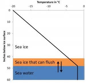 An underwater stalactite dripping salt? | The Bowman Lab