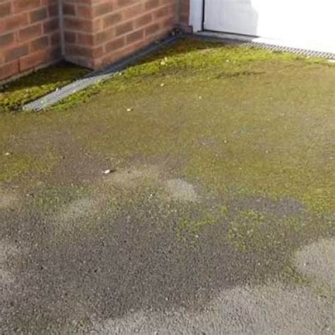 How To Remove Moss From Asphalt Driveway