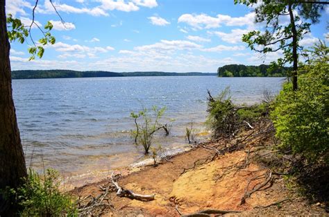 Hiking At Degray Lake State Park Right Kind Of Lost