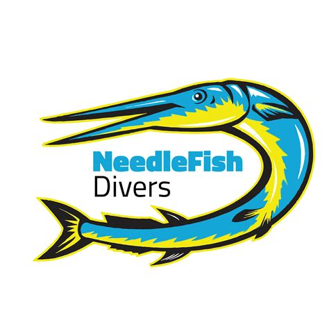 NeedleFish Divers | Calangute