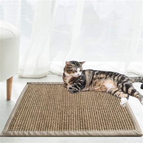 Amazon Chicwow Cat Scratch Pad X In Cat Scratching Pad