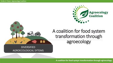 Strategies To Amplify Agroecology Influencing Mindsets And Policy Ppt