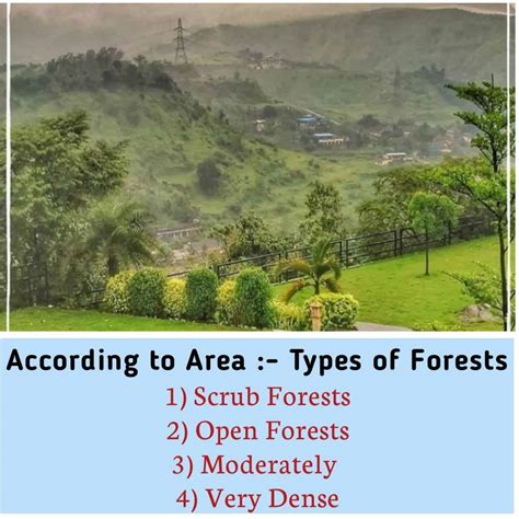 Important Case Study on [Types of Forest in India] - UPSE CSE PSE ...