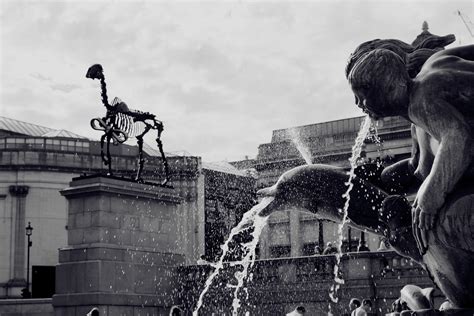 Fotos Gratis En Blanco Y Negro Calle Fotograf A Monumento Estatua