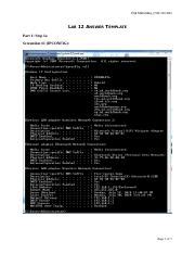EMaramba Lab12 Docx Erik Maramba CSIS 330 D02 LAB 12 ANSWER TEMPLATE