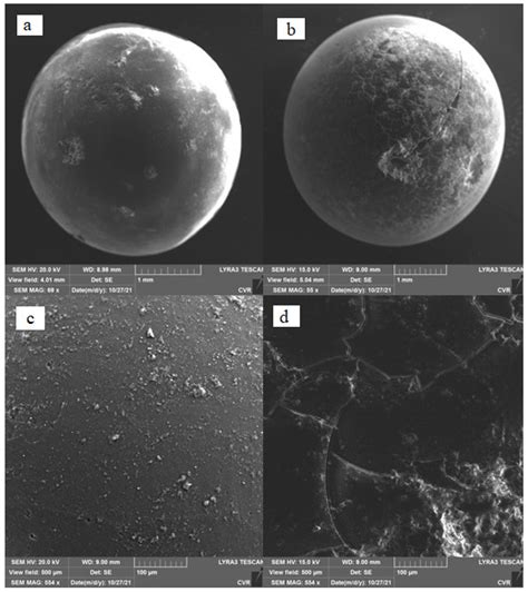 Gels Free Full Text Preparation And Testing Of Polyethylenimine