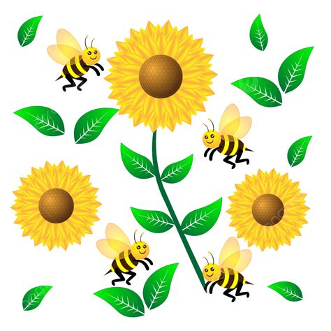 Cute Honey Bee Clipart Transparent Background Honey Bee On Sunflower