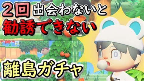 【あつ森離島ガチャ】2回出会わないと勧誘できない離島ガチャを敢行！その結果は！？【あつまれどうぶつの森】 Youtube