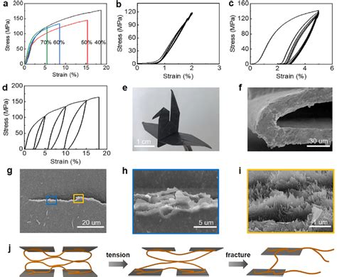 Deformation Of Bioinspired Graphene Aramid Nanofiber Film A Tensile Download Scientific