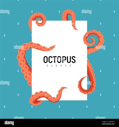 Octopus Tentacle Banner Design Kraken Squid Cartoon Octopus Giant