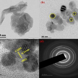 Sem Images Of A G C N B C Cqds G C N Nanocomposite And D Edx