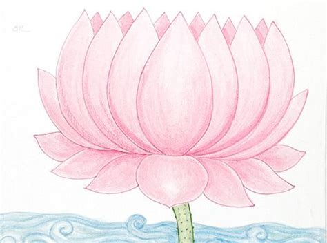 Art & Photos - Lotus Flower