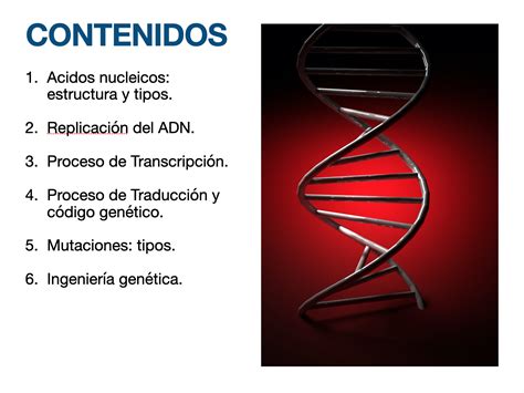 Tu Aula Bio Biolog A Y Geolog A Tema Gen Tica Molecular