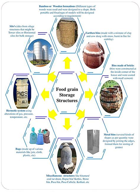 Frontiers A Comprehensive Review On Advances In Storage Pest