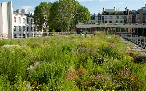 V G Taliser Les Toits Et Les Murs Ville De Paris