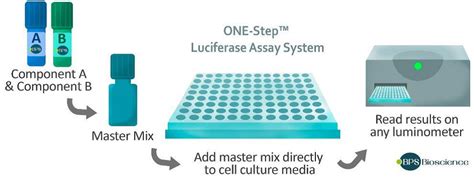 ルシフェラーゼレポーター細胞活性測定用試薬 One Step Luciferase Assay System フナコシ