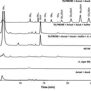 Hpaec Pad Chromatograms And Elution Patterns A The Supernatant Of