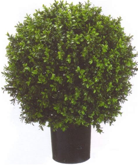 Earthflora Artificial Boxwood Ball Topiary Ef 7666 24 Tall 18 Wide Indooroutdoor Boxwood