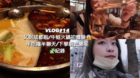 【赴大陸交換】 Vlog14 我又到成都啦！半吃播牛蛙火鍋初體驗😱下學期去哪呢又跟朋友見面啦春節的成都太古里碎片化🧩紀錄台灣人在