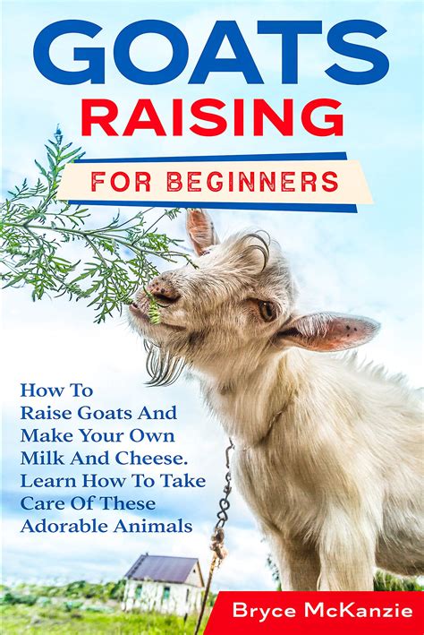 Goats Raising For Beginners The Most Comprehensive Guide To Raise