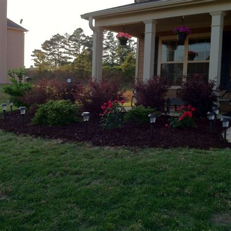 knockout roses landscaping ideas | Planted Knockout Roses | Landscaping ...