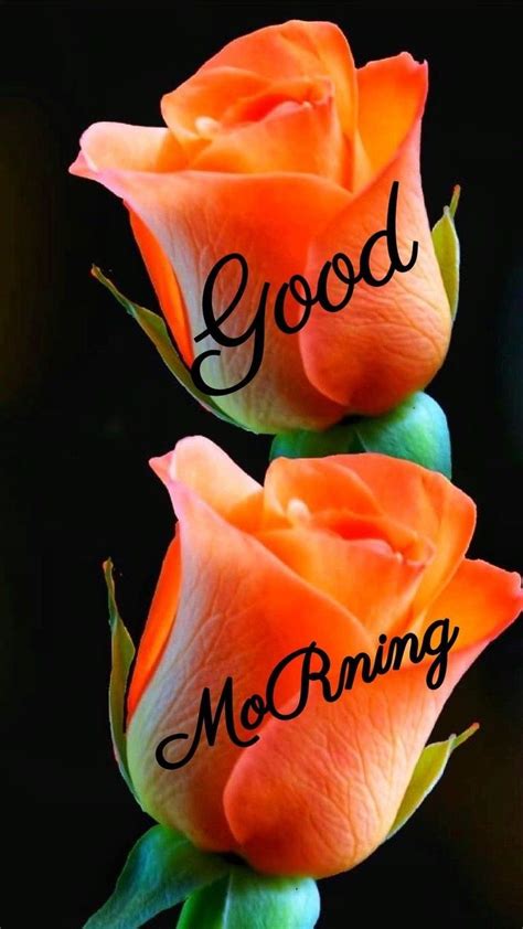 Pin By Rohith Rajan On Good Mornning Images Good Morning Roses Good