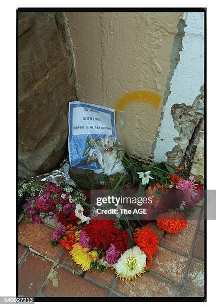 278 Port Arthur Massacre Anniversary Stock Photos, High-Res Pictures, and Images - Getty Images