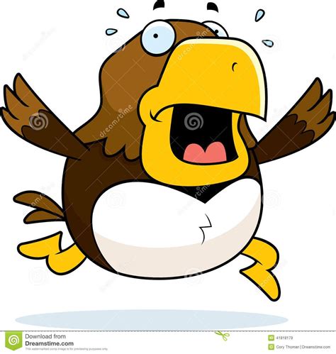 Cartoon Hawk Panic Stock Vector Image 41818179 With Images Funny