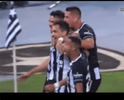 Botafogo volta a vencer em casa e pode melhorar a posição na tabela