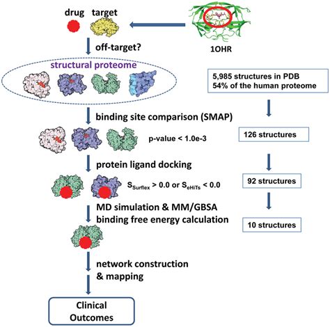 The Structural Proteome Wide Off Target Pipeline Integrating Ligand