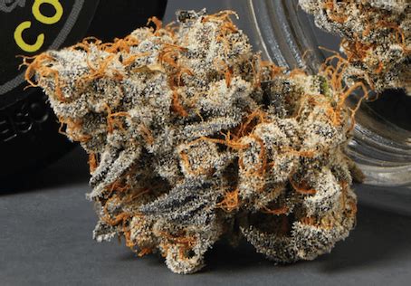 The Carbon Fiber Strain Combines Biscotti, Grape Pie, and Cookies & Cream