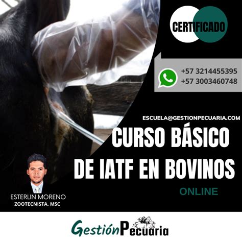 Curso Basico Inseminaci N Artificial A Termino Fijo En Bovinos