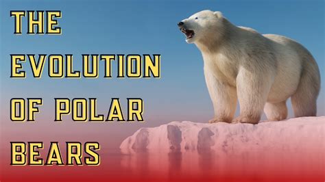 The Incredible Evolution Of Polar Bears 🐻 From Past To Present