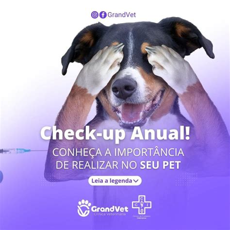 Check Up Anual Conheça A Importância De Realizar No Seu Pet Grandvet