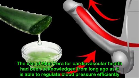 Why Aloe Vera Need For Men Benefits Of Aloe Vera Gel For Male