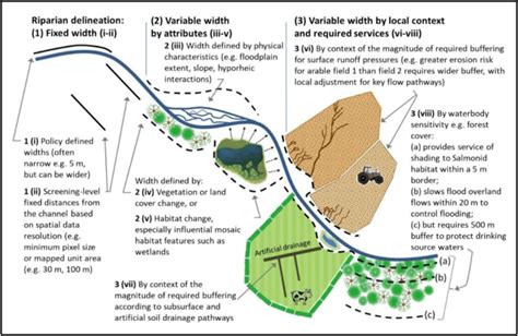 An Example Comparison Of Riparian Buffer Width Delineation Models With