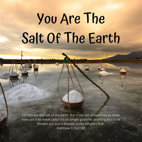 You Are The Salt Of The Earth – Rooted, Built, Established