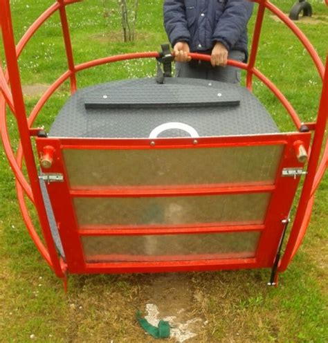 Vandali Colpiscono Il Parco Rotta Laltalena Per Bambini Disabili