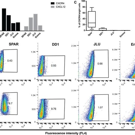 Gene Expression Of Cxcr And Its Ligand Cxl Is Variable In Canine