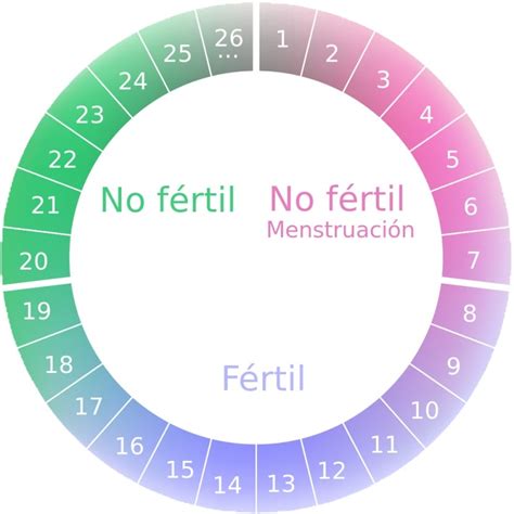 Cómo Calcular Los Días Fértiles Para Quedarte Embarazada