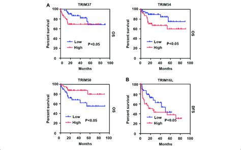 The Association Of TRIM Genes With The Survival In HBV Associated HCC